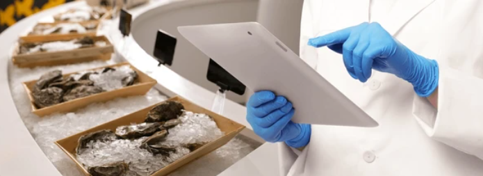 Portugal Seafood Quality Inspection 