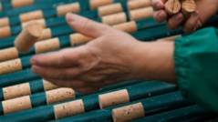 Manufactured Cork Parts Quality Check Service