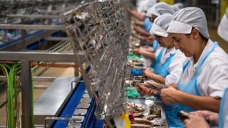 Portugal quality inspector service