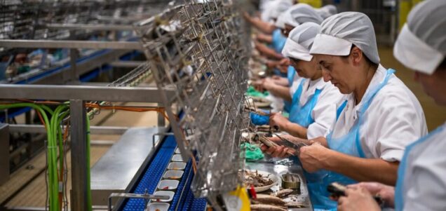 Portugal quality inspector service